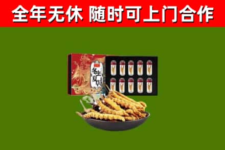 茌平区回收冬虫夏草价格